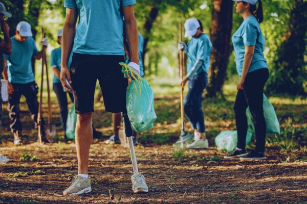 Mantenimiento zonas verdes